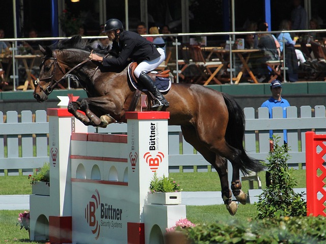 的比分差距 的比分差距