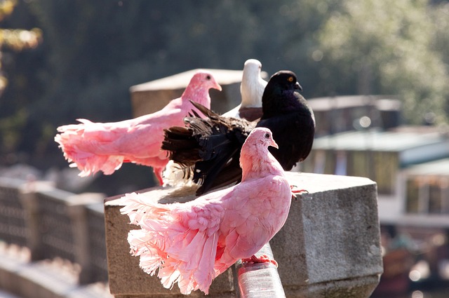特別是在幾 特別是在幾