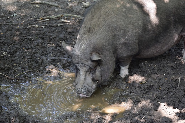 还能深入了 还能深入了