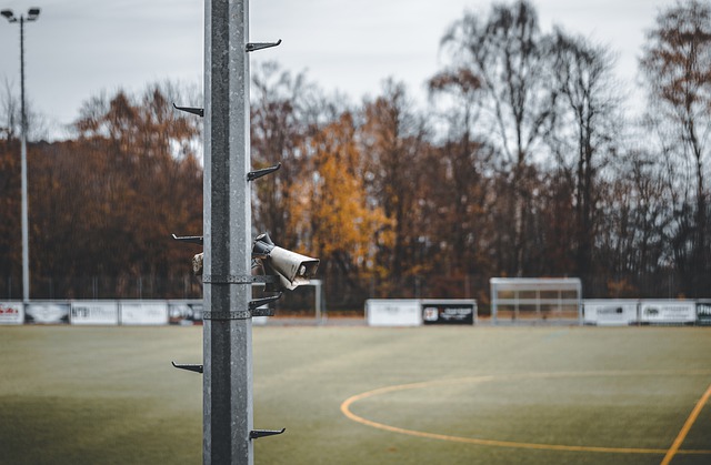 到强势的单 到强势的单