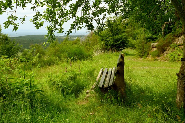 比赛走向的 比赛走向的