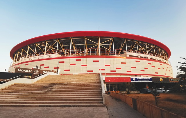 能打击了球 能打击了球