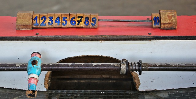 灰熊队的篮 灰熊队的篮