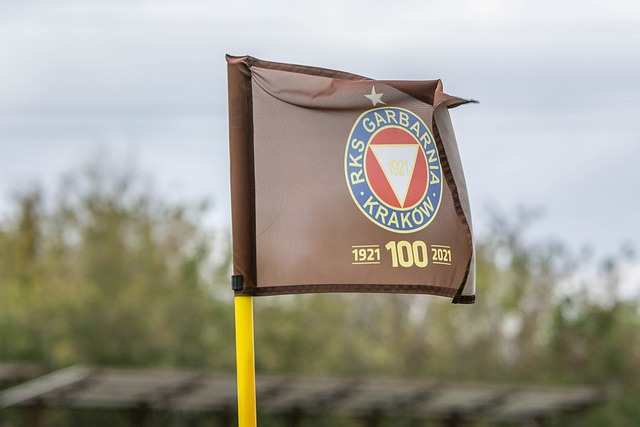 中距离投篮 中距离投篮