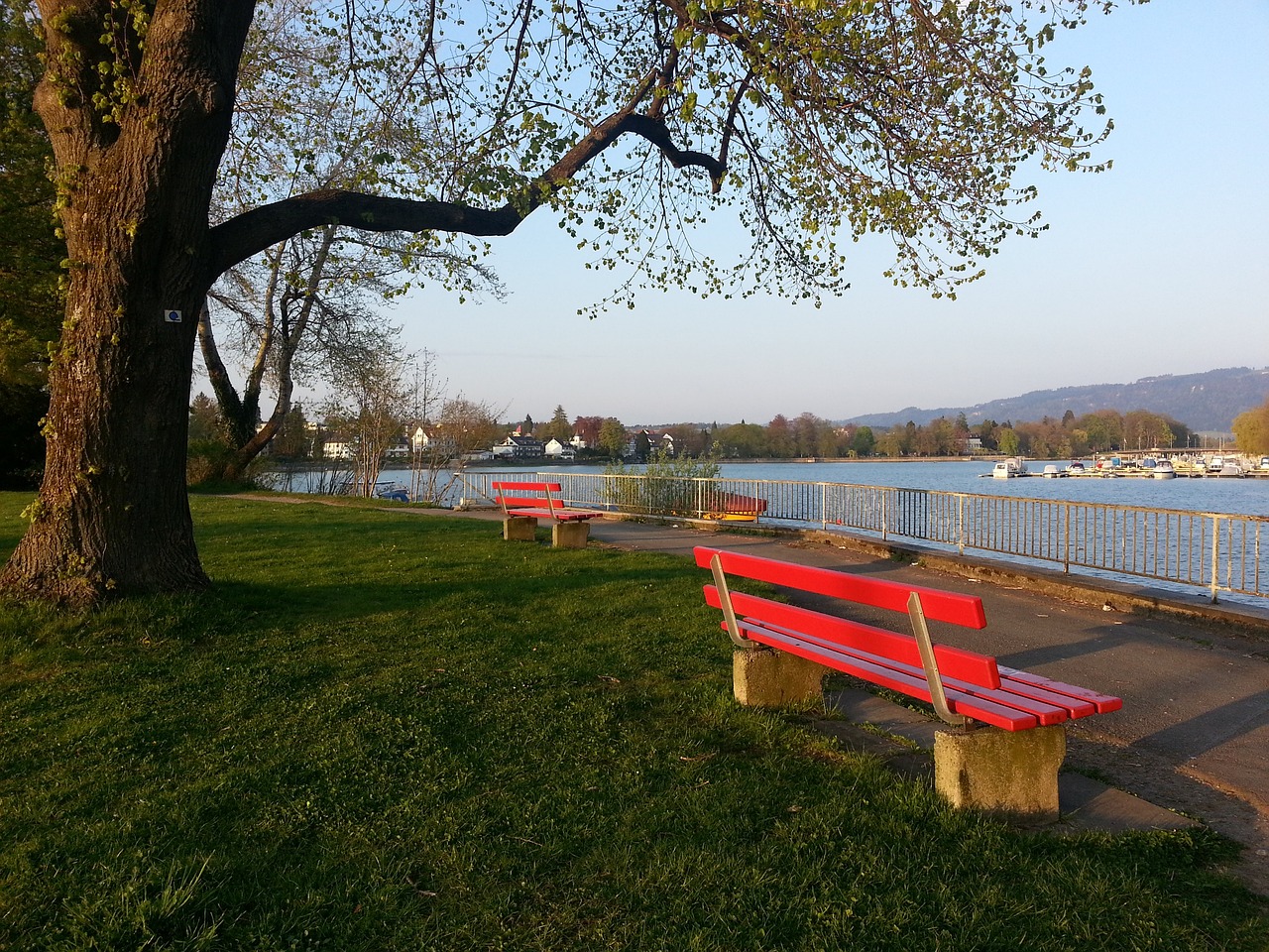 这难免影响 这难免影响