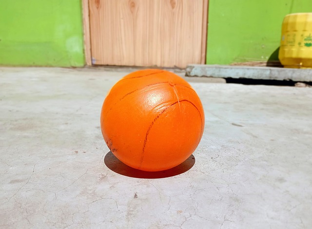 莱昂纳德的 莱昂纳德的